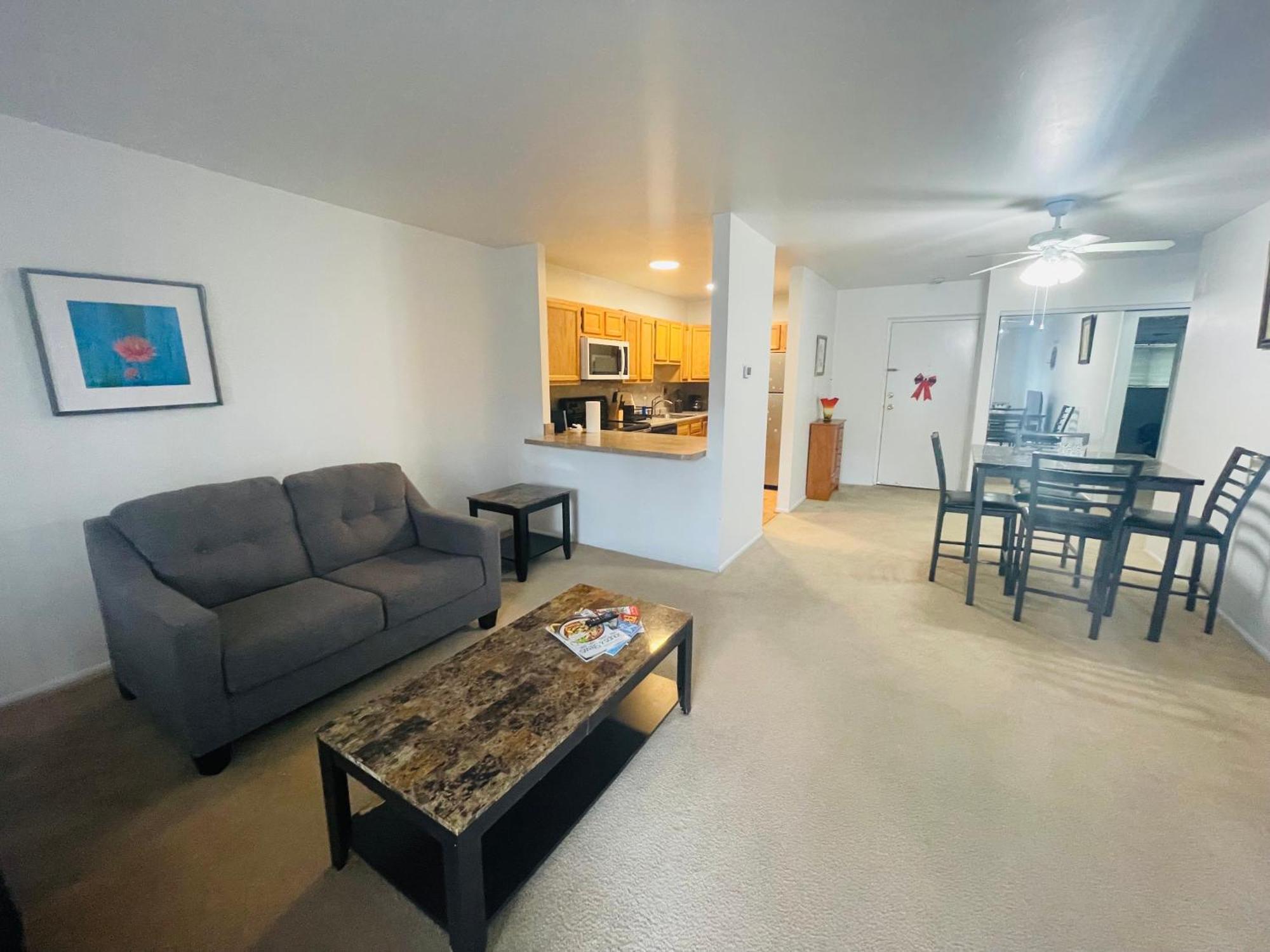 Large, Clean, Comfortable, 1Br Near Einstein Hos Elkins Park Esterno foto